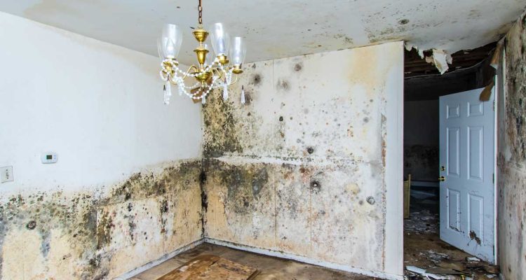 7-Common-Misconceptions-About-Water-Damage-Repair