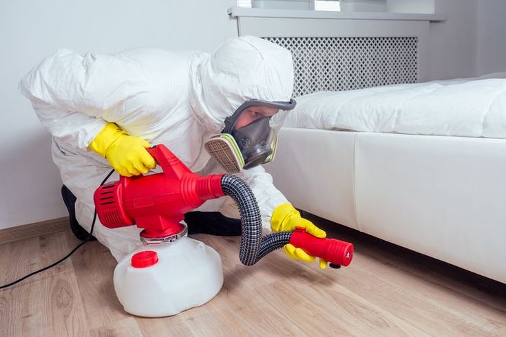 Bed Bug Cleaning Service Staten Island