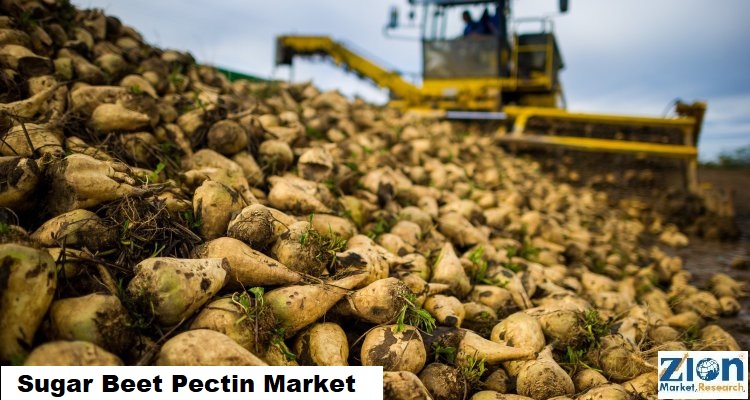 Global Sugar Beet Pectin Market