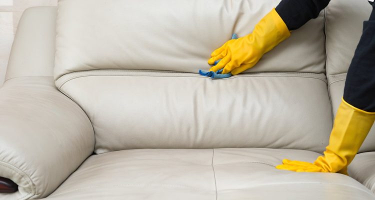 Professional Leather Cleaning Brooklyn Services