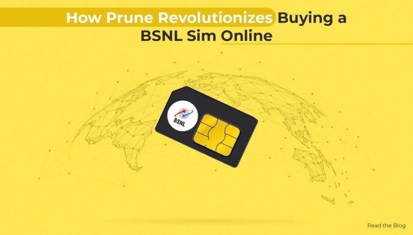 BSNL SIM online