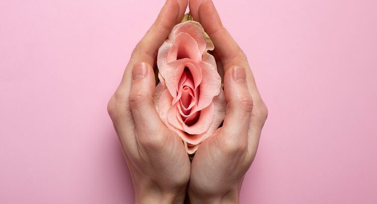 woman-holding-rose-hands-reproductive-system-visualization_52683-104693