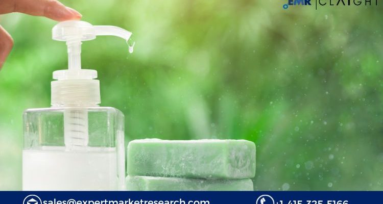 Antibacterial Soap Market