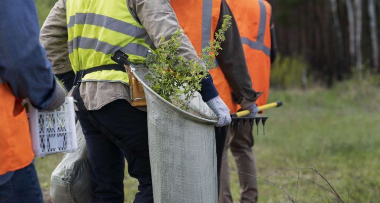 Arborist-Services-2048x1365