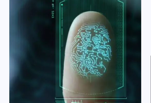 Fingerprint verification