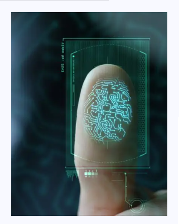 Fingerprint verification