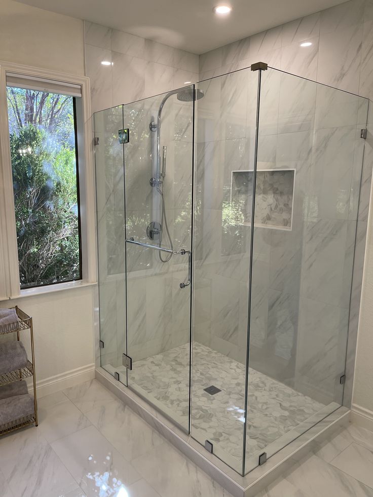 Frameless Shower Door