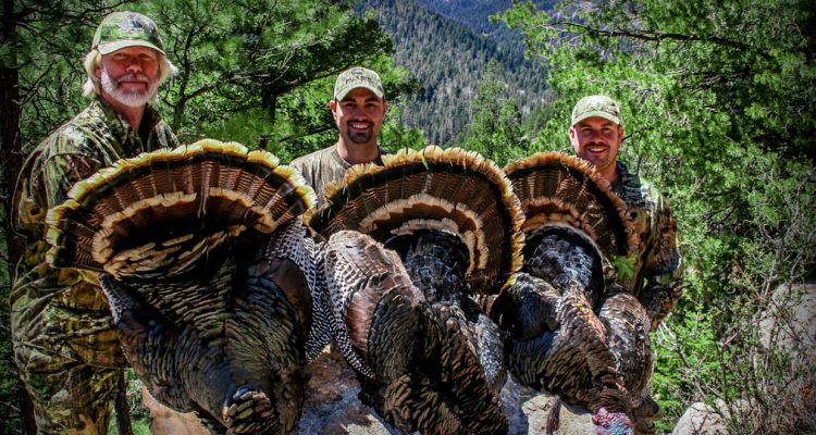 The Importance of Hydration and Stamina for Long Turkey Hunting Days