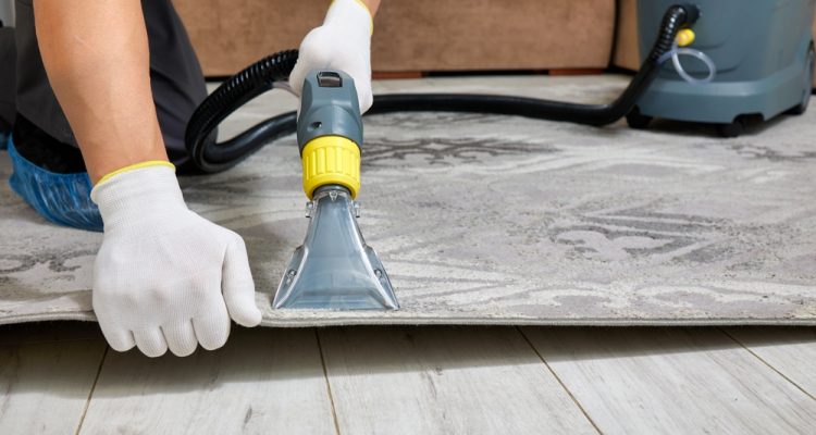 Affordable Carpet Cleaning in Metairie