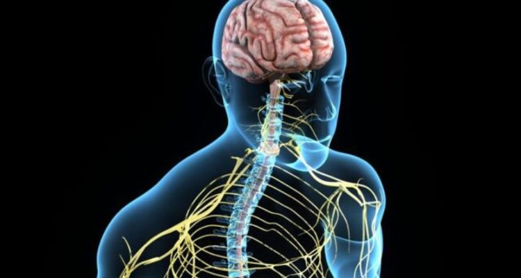 Amyotrophic Lateral Sclerosis Market