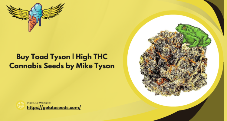 Buy Toad Tyson  High THC Cannabis Seeds by Mike Tyson