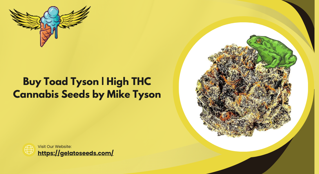 Buy Toad Tyson  High THC Cannabis Seeds by Mike Tyson