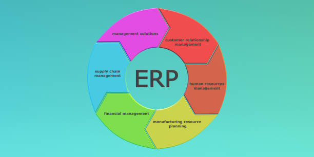 Comprehensive Guide to ERP Software Development Services