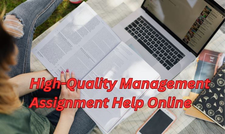 High-Quality Management Assignment Help Online (2)