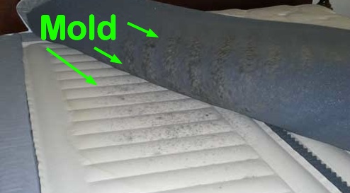 How To Remove Black Mold From Mattress