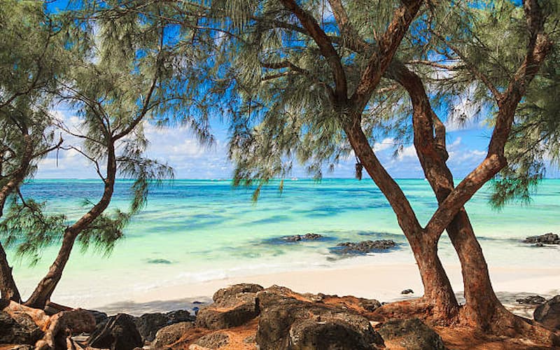 Ile aux Cerfs (1)