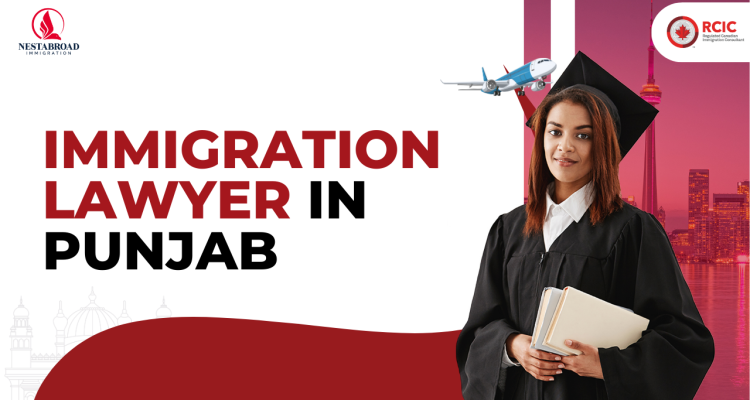 Immigration Lawyer in Punjab