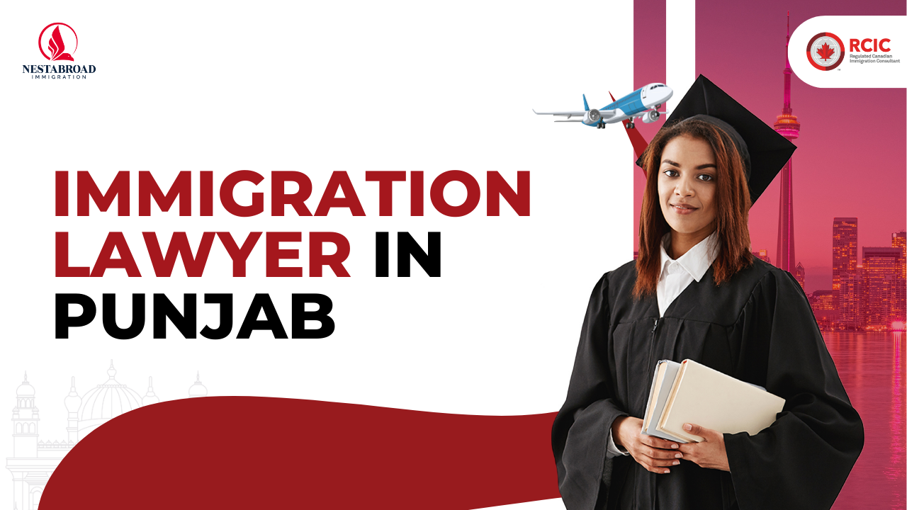 Immigration Lawyer in Punjab