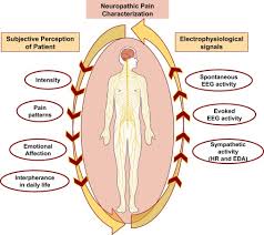 Neuropathic Pain889