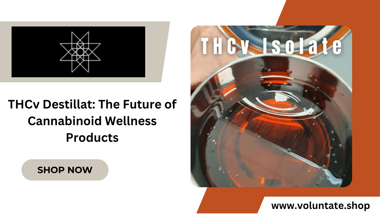 THCv Destillat The Future of Cannabinoid Wellness Products