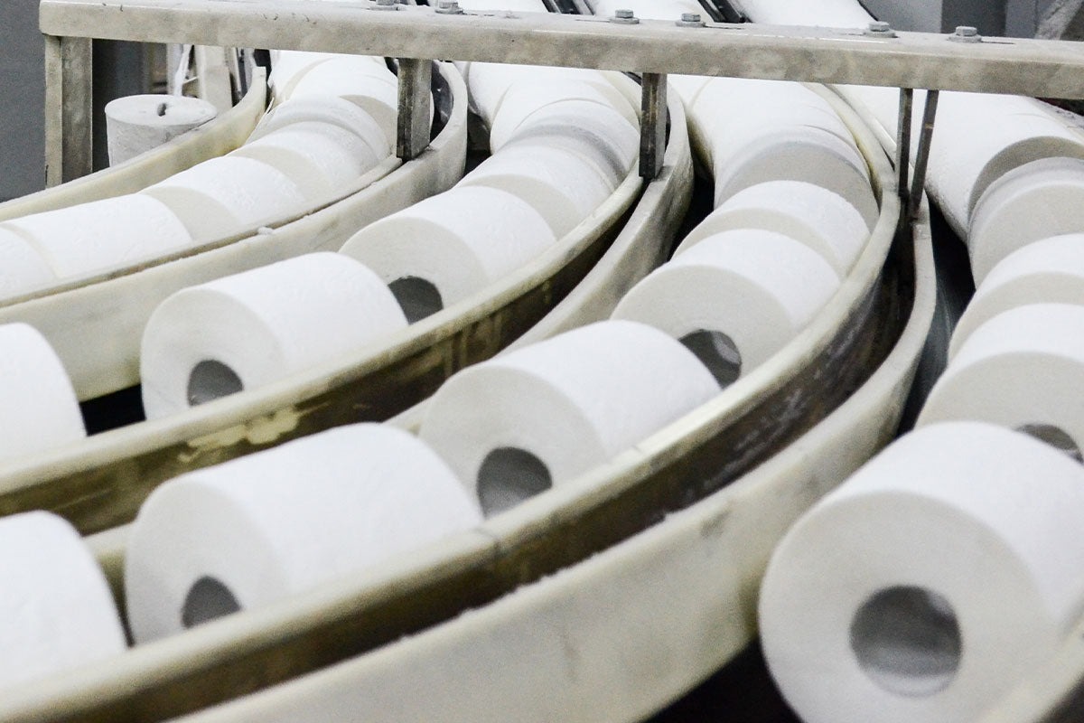Toilet Paper Manufacturing 4