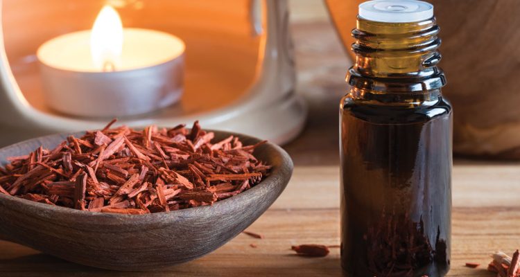 What is the sandalwood oil benefits_-1