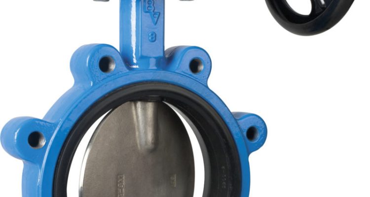 butterfly valve manufacturer in ahmedabad