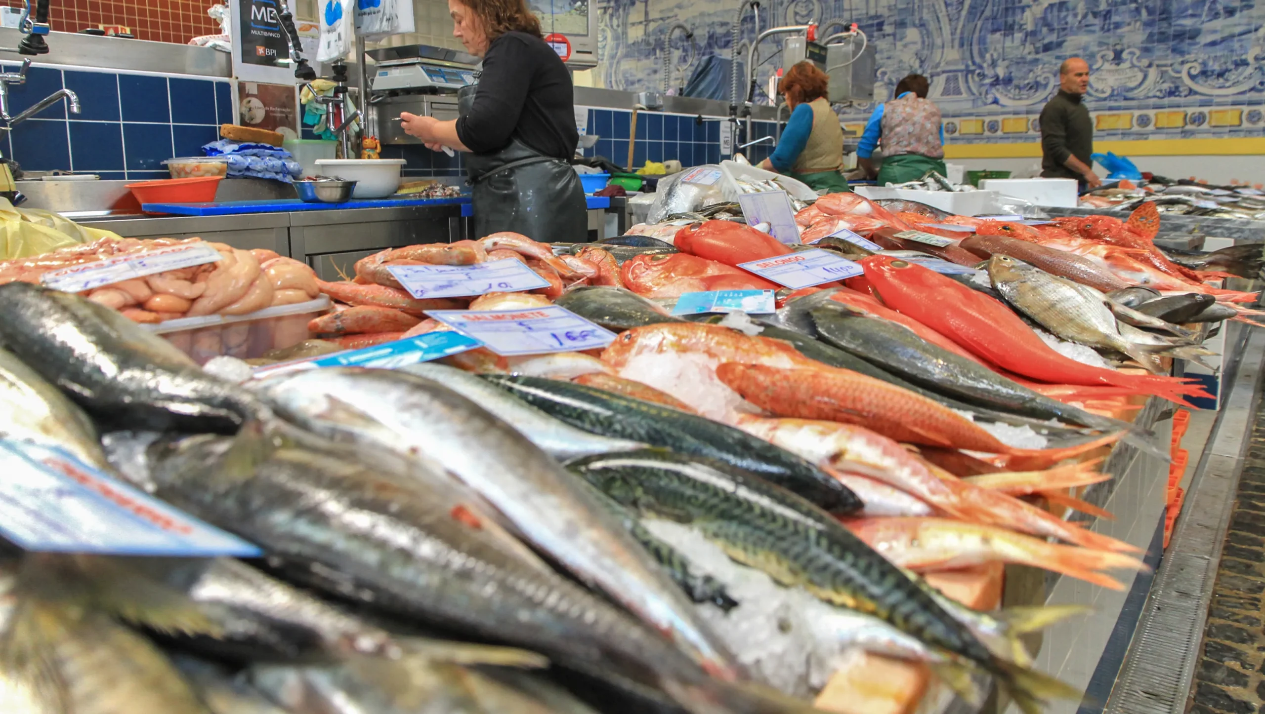 Fresh Fish Market Dubai