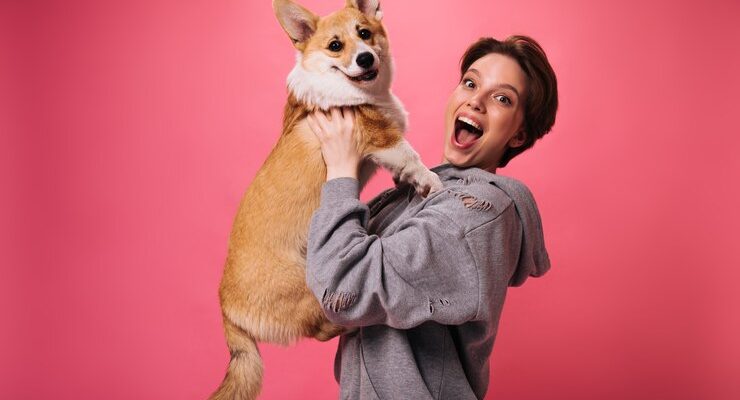 good-humored-woman-holds-dog-laughing-pink-background-emotional-sort-haired-girl-grey-hoodie-poses-with-corgi-isolated_197531-18536