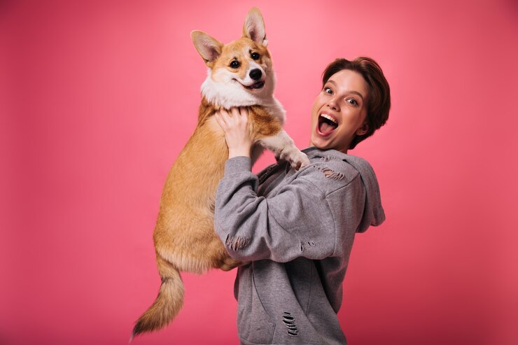 good-humored-woman-holds-dog-laughing-pink-background-emotional-sort-haired-girl-grey-hoodie-poses-with-corgi-isolated_197531-18536