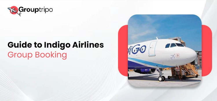 guidIndigo Indigo Airlines Group BookingAirlines Group Bookinge-to-indigo-airlines-group-booking1737086124