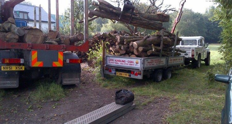 log-suppliers-in-bournemouth