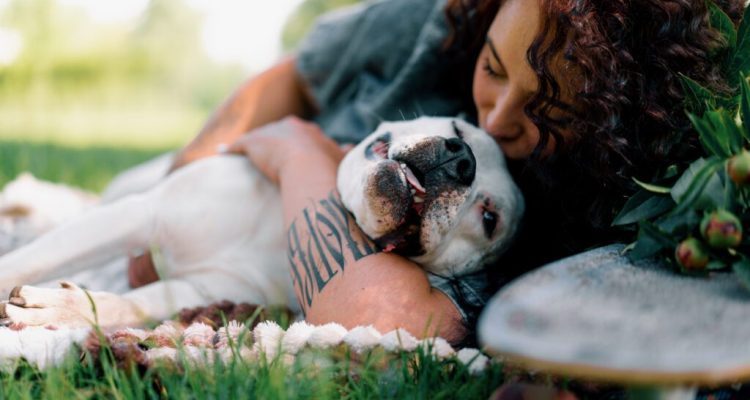 white-dog-of-the-pit-bull-breed-staffordshire-terr-2023-12-21-15-02-21-utc-1024x683