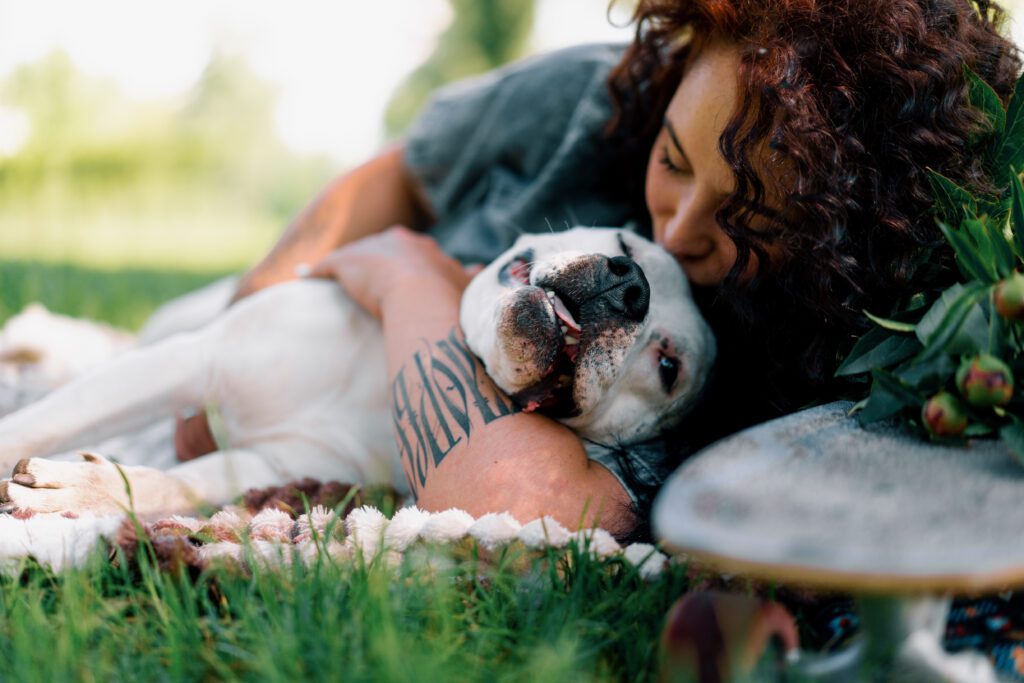 white-dog-of-the-pit-bull-breed-staffordshire-terr-2023-12-21-15-02-21-utc-1024x683