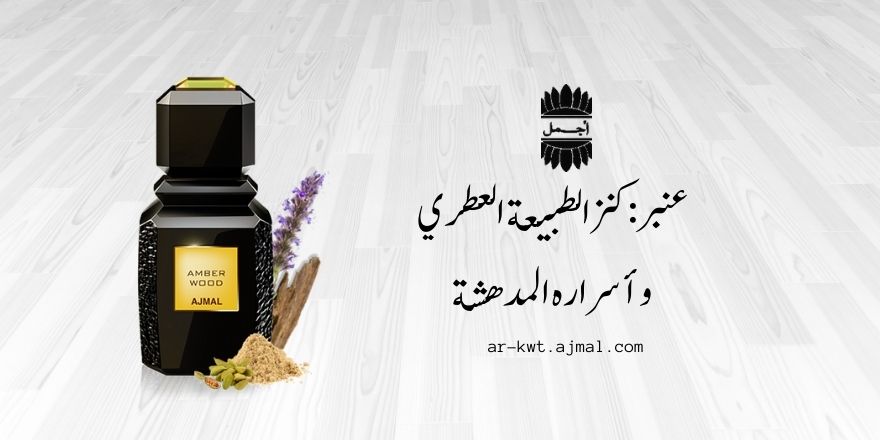 عنبر كنز الطبيعة العطري وأسراره المدهشة