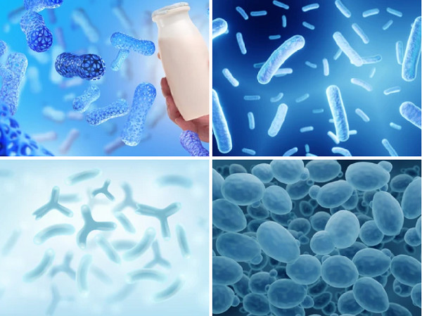 3-2-service-for-food-technological-additives-1