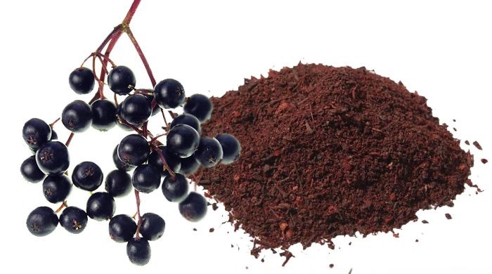 Elderberry Powder