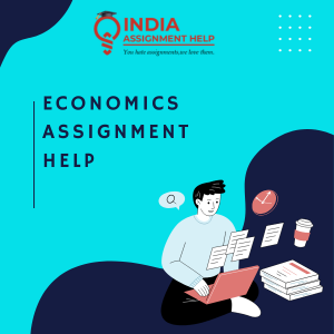 India assignment help (300 x 300 px)