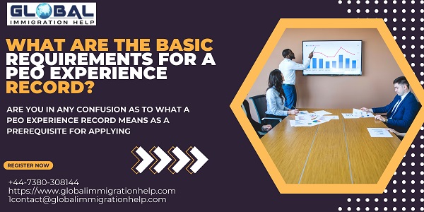 What are the Basic Requirements for a PEO Experience Record