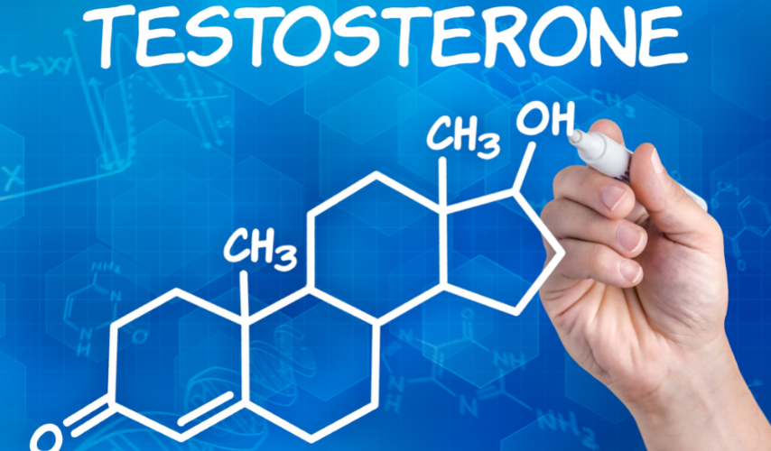 Ashwagandha and Testosterone Levels in Men