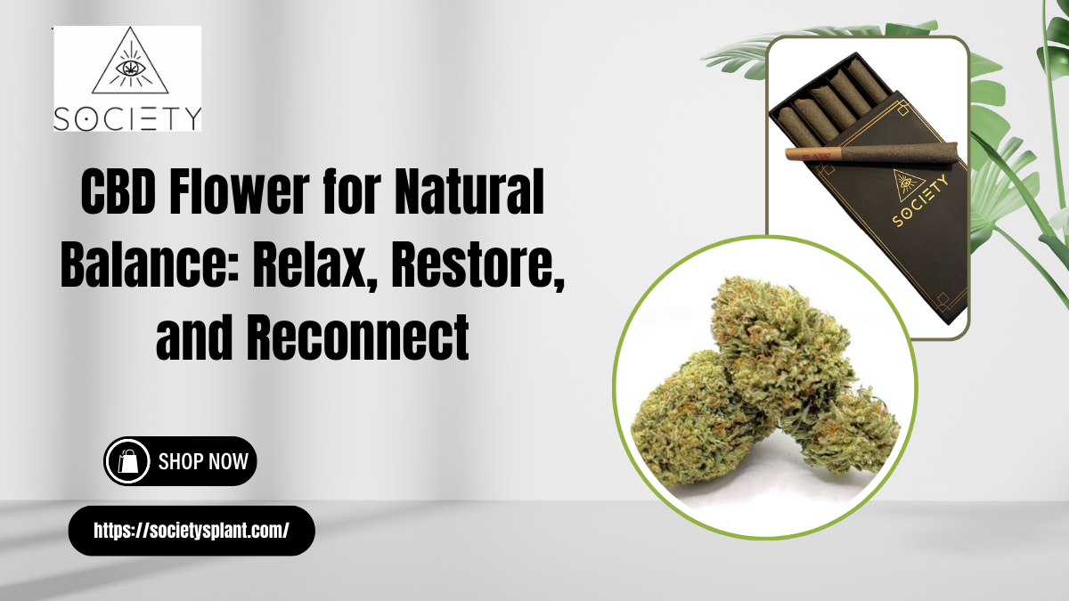 CBD Flower for Natural Balance Relax, Restore, and Reconnect