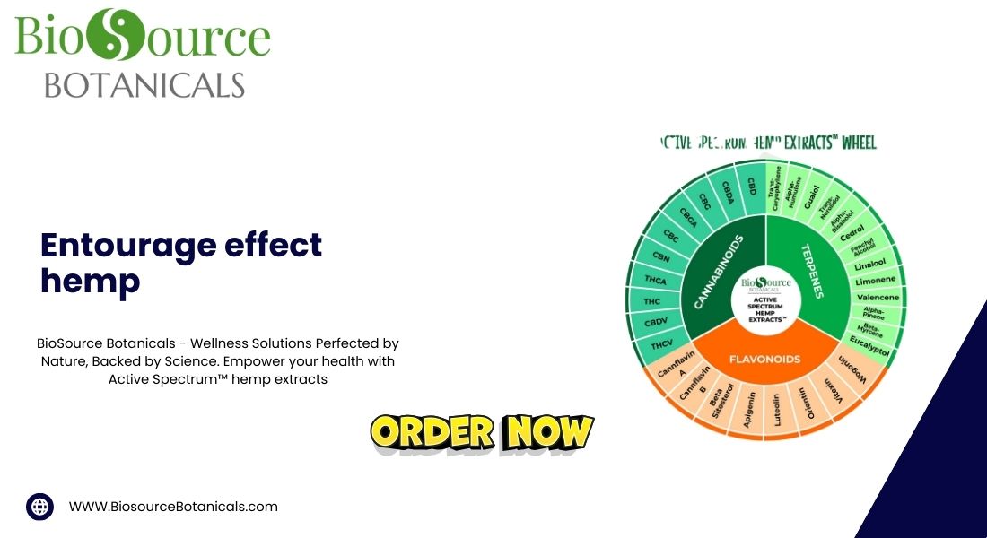 How Active Spectrum™Experience the True Potential of Hemp Wellness Products
