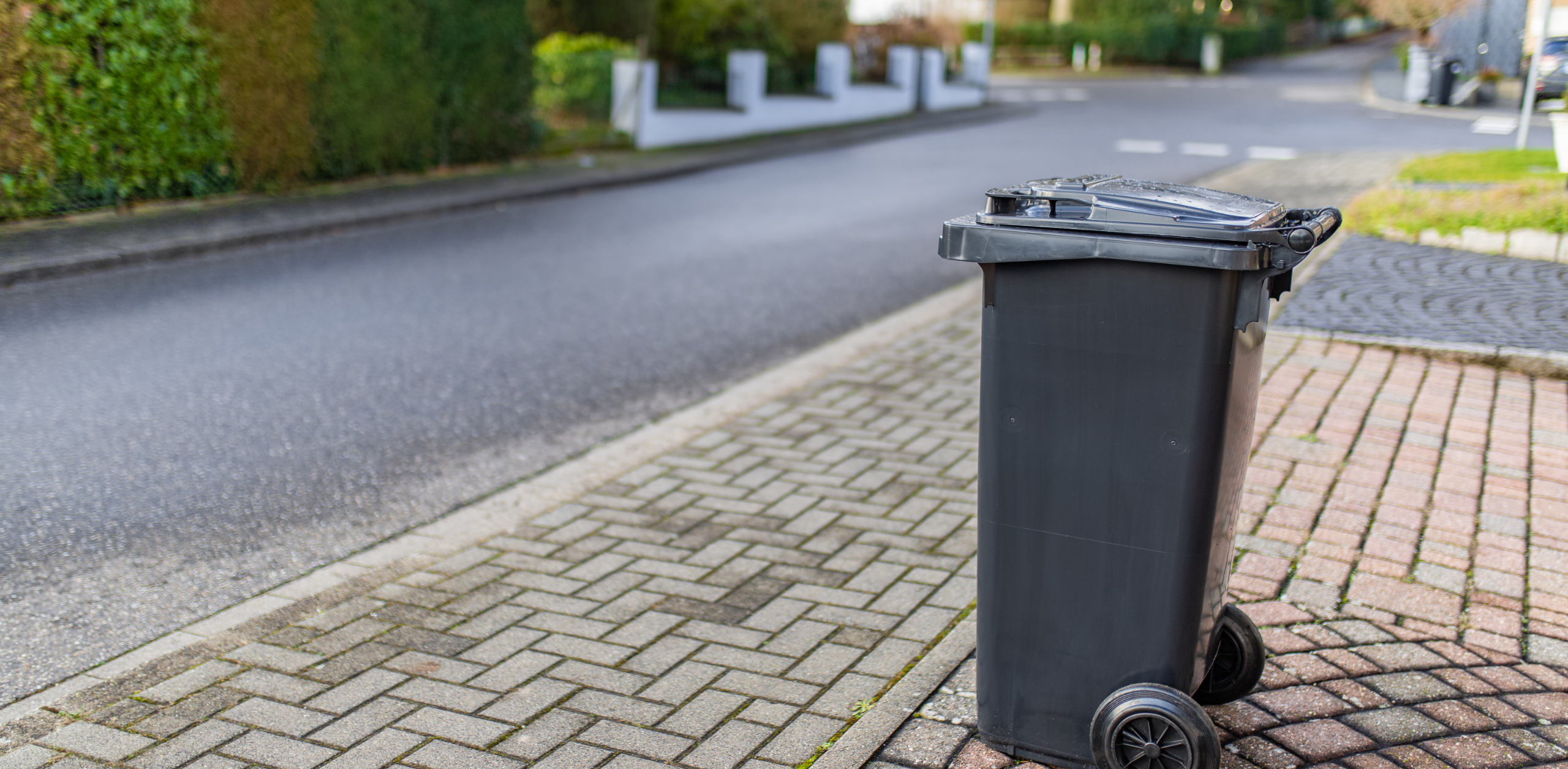 Skip Waste