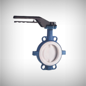 PFA Lined Valve Manufacturers in Ahmedabad