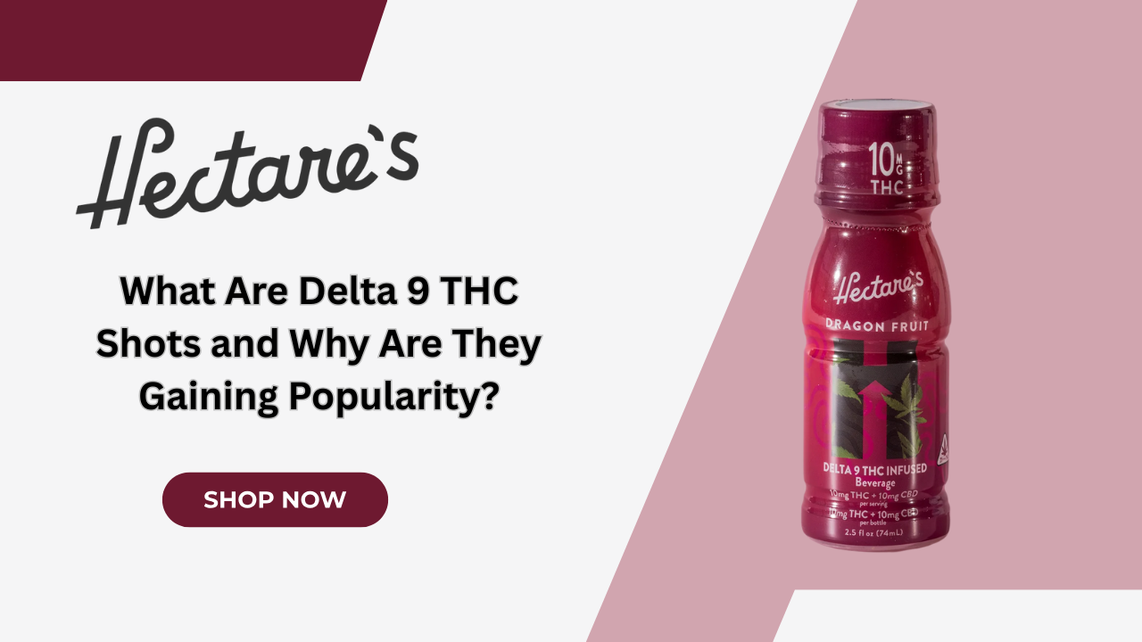 What Are Delta 9 THC Shots and Why Are They Gaining Popularity