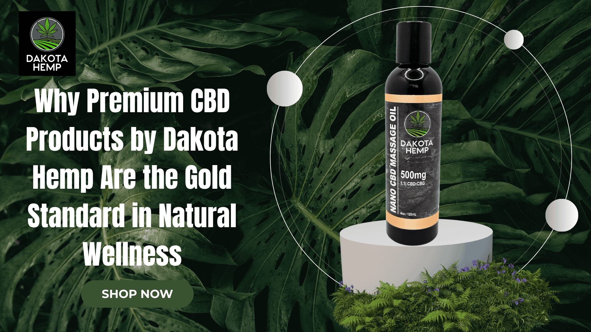 Why Premium CBD Products by Dakota Hemp Are the Gold Standard in Natural Wellness