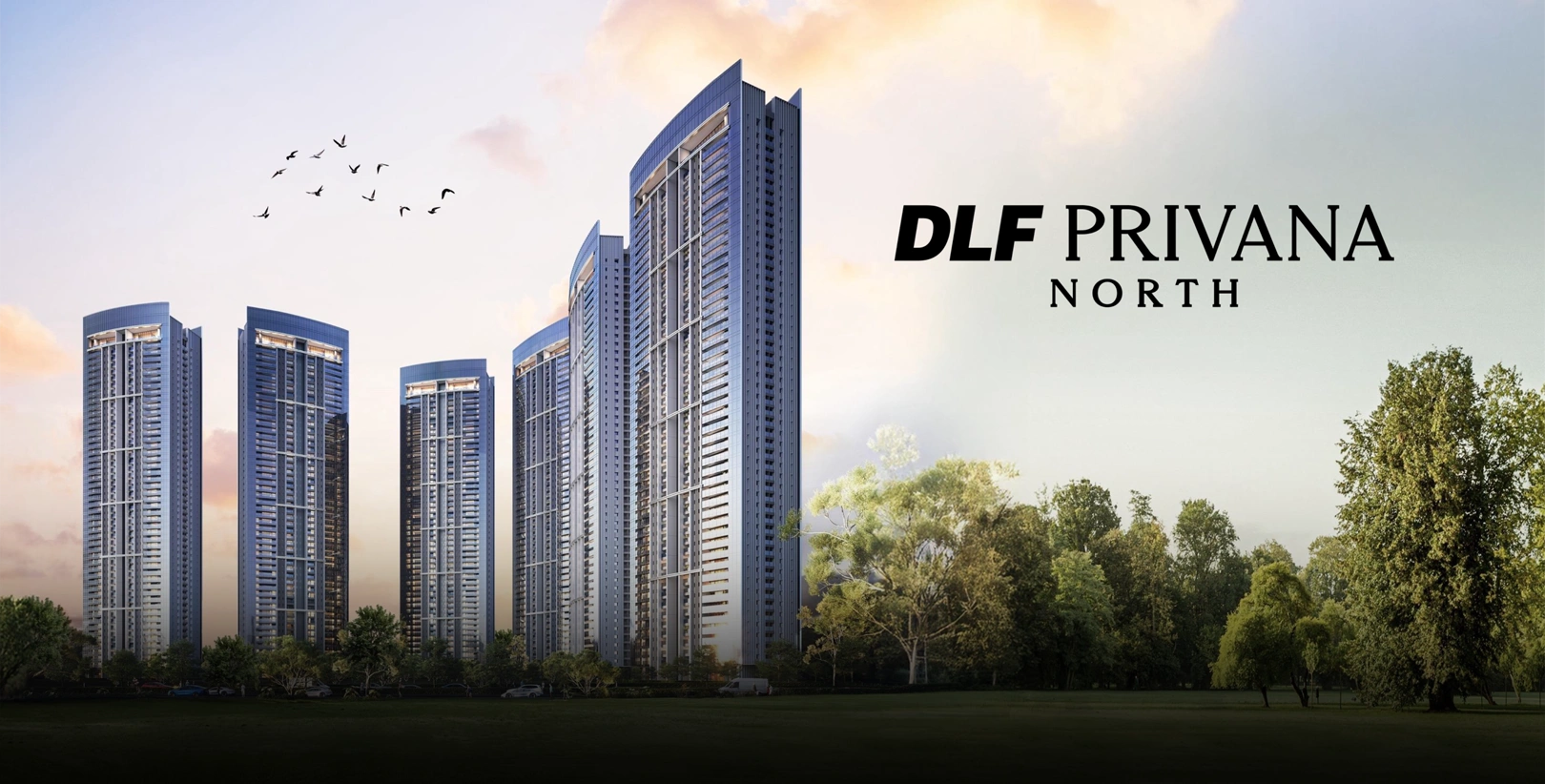 dlf
