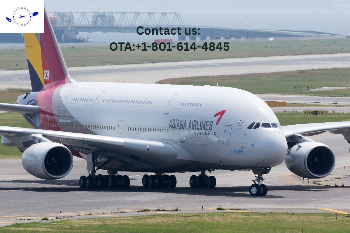 Asiana_Airlines