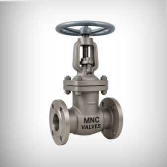 Gate-Valve-Manufacturers-in-Ahmedabad-India