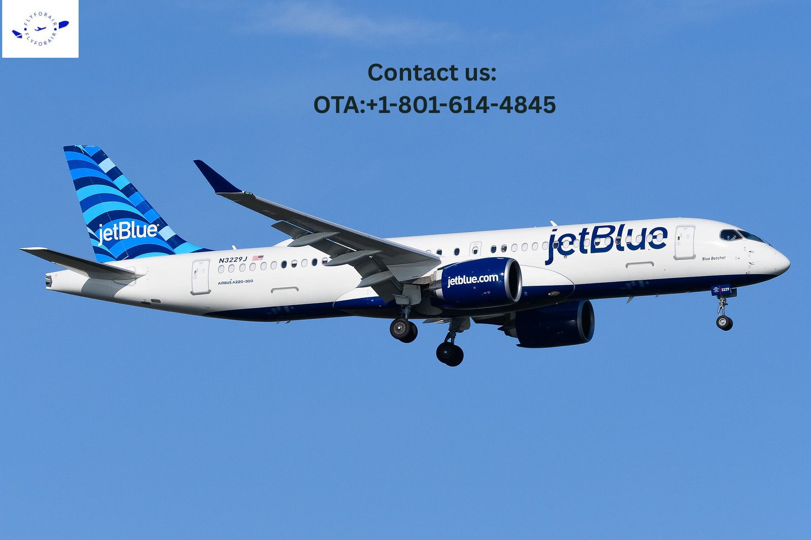 JetBlue-Airlines